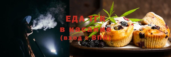 стаф Липки
