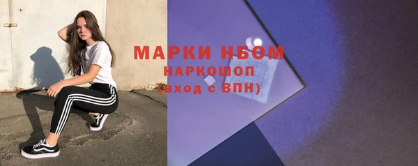 стаф Липки