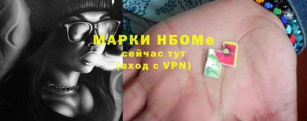 стаф Липки