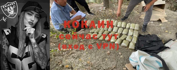 стаф Липки