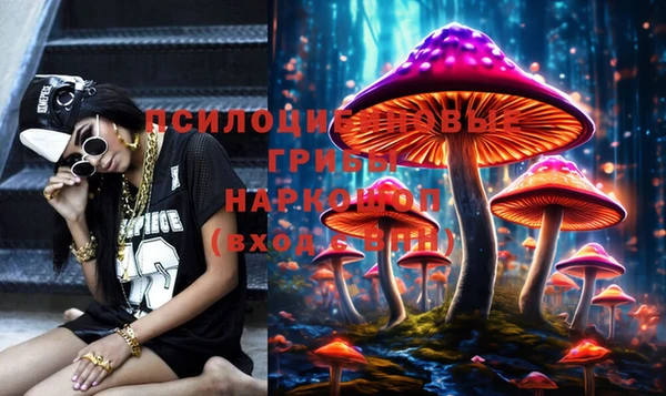 стаф Липки
