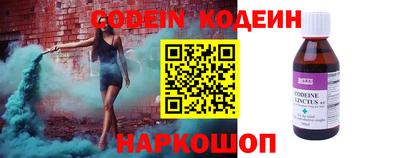 прущие грибы Дубна
