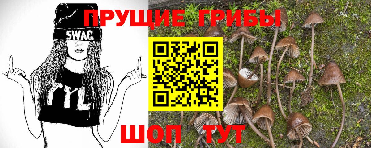 Псилоцибиновые грибы Psilocybine cubensis  Вход с VPN  Минеральные Воды  Псилоцибиновые грибы Psilocybine cubensis 