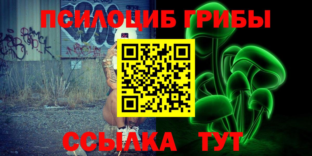 Псилоцибиновые грибы Psilocybe Минеральные Воды